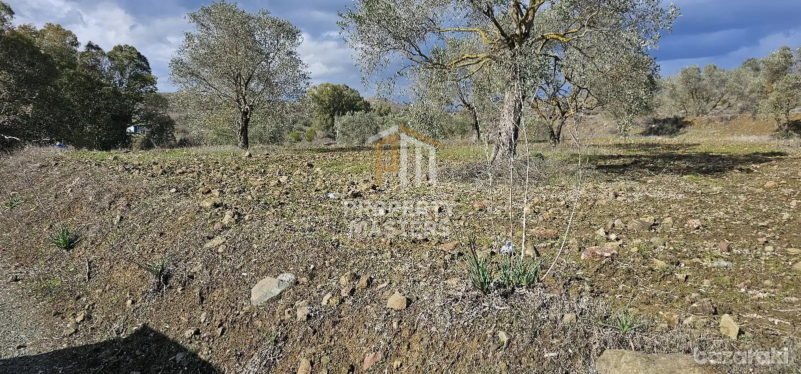 Field in Alampra photo 6