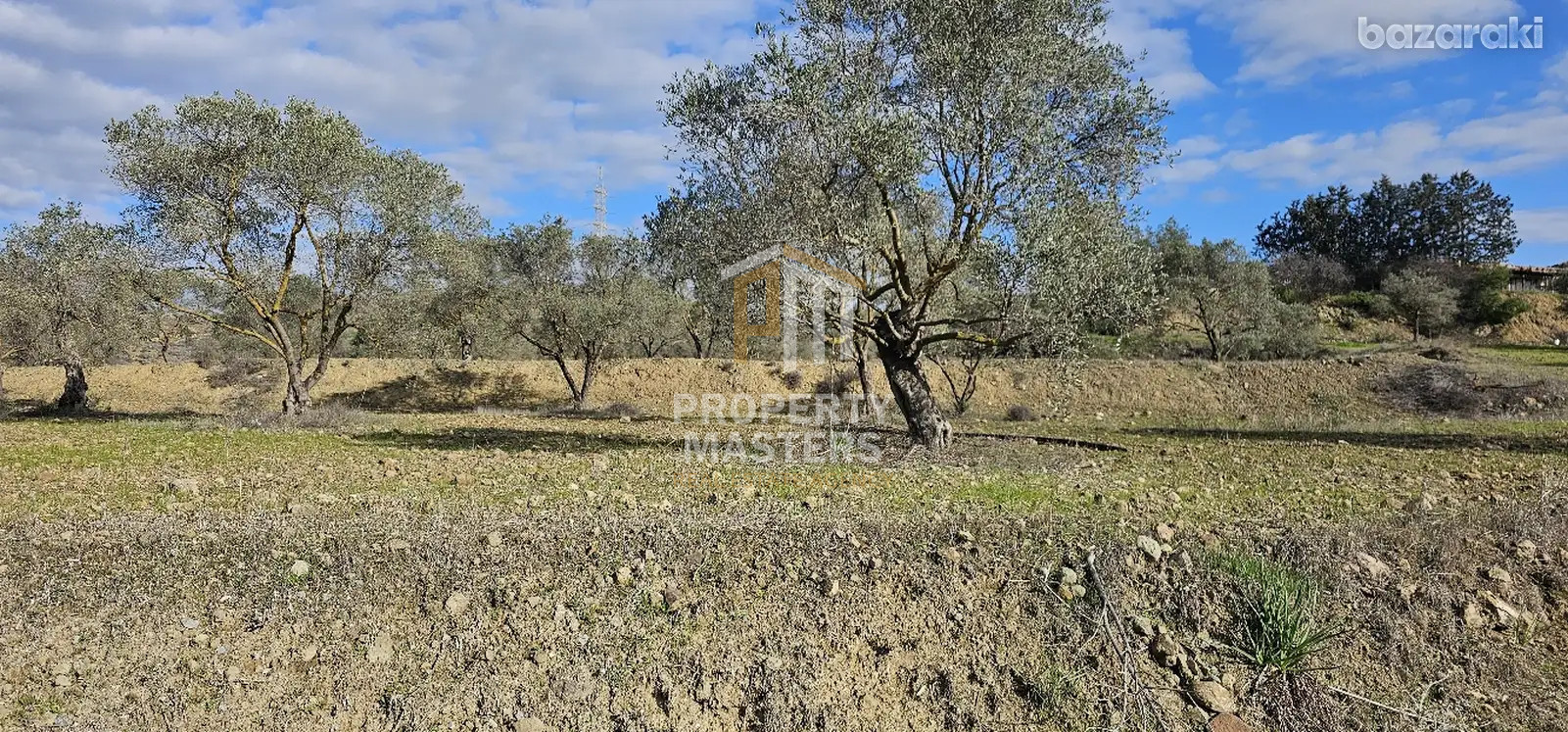 Field in Alampra photo 10