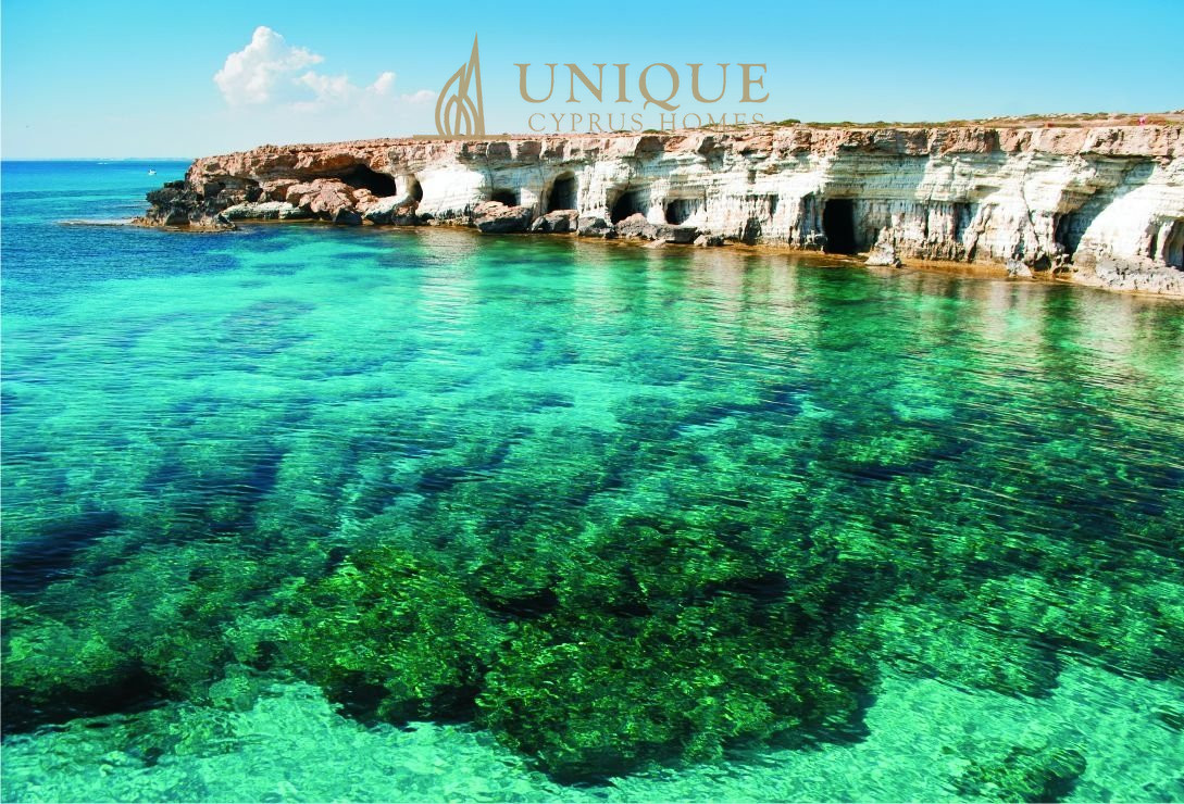 House in Pegeia - Image 4