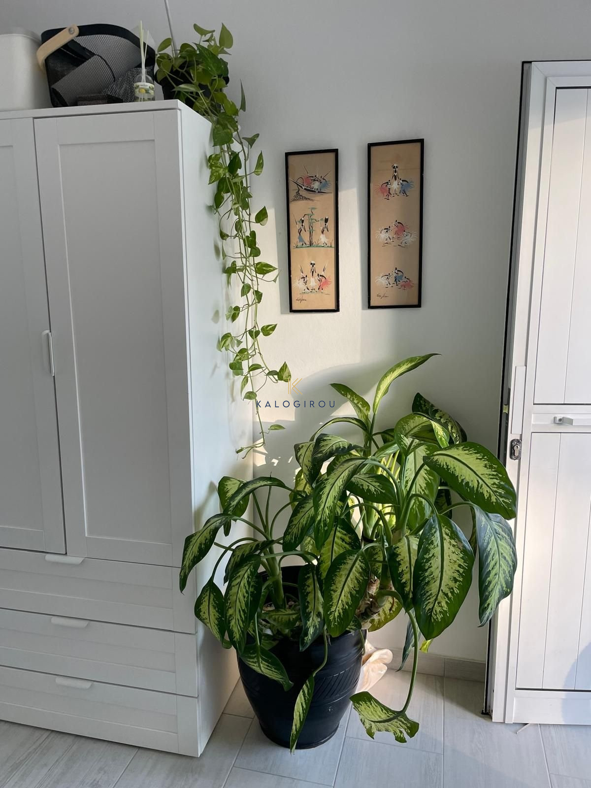 Αmazing, One Bedroom Bungalow for Rent in Kiti area, Larnaca.