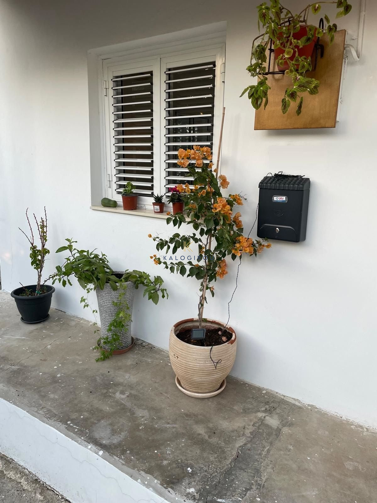 Αmazing, One Bedroom Bungalow for Rent in Kiti area, Larnaca.