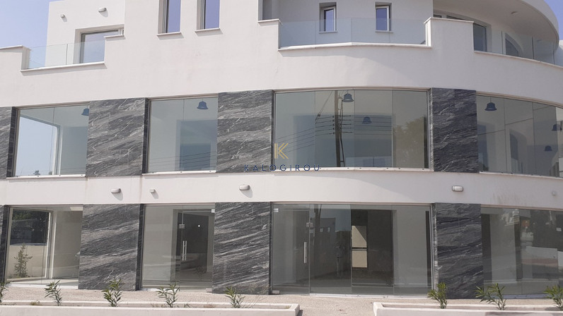 Building 766 m² for rent in Meneou, Larnaca, Cyprus