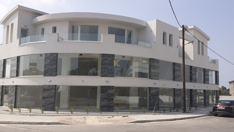 Building 766 m² for rent in Meneou, Larnaca, Cyprus