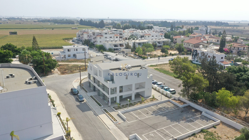 Building 766 m² for rent in Meneou, Larnaca, Cyprus