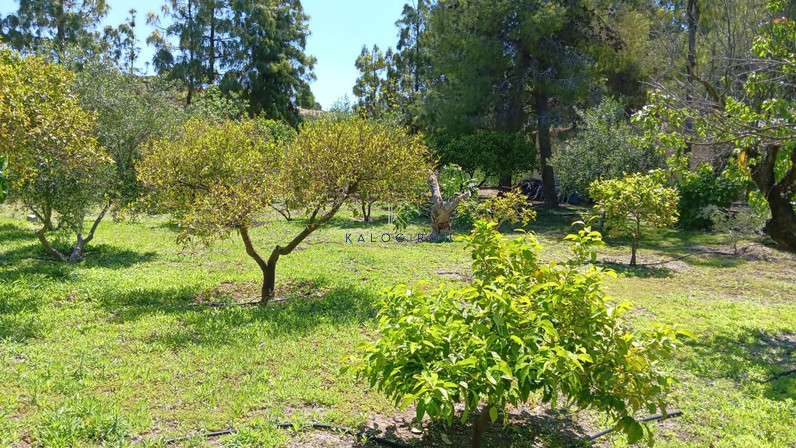 2-bedroom detached house for sale 100 m² in Alethriko, Larnaca, Cyprus