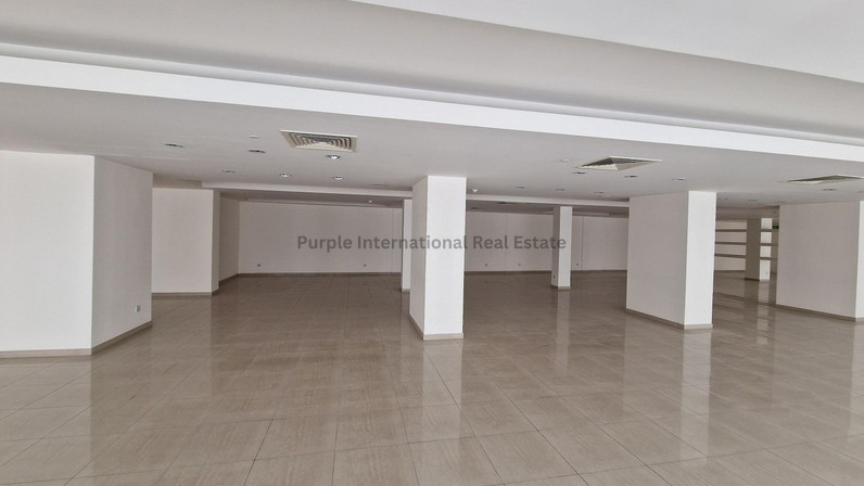 Other 1985 m² for sale in Egkomi, Nicosia, Cyprus