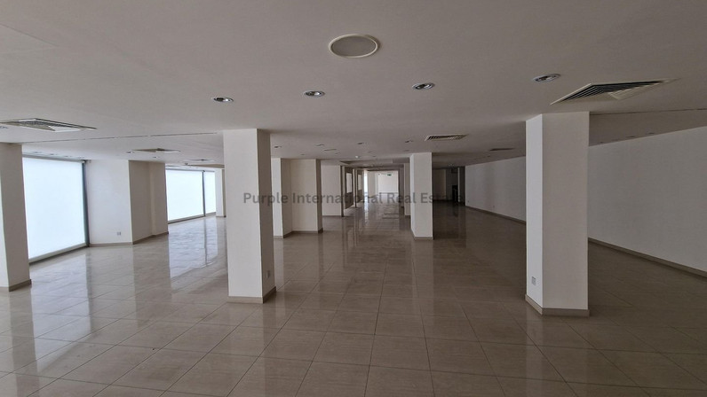 Other 1985 m² for sale in Egkomi, Nicosia, Cyprus