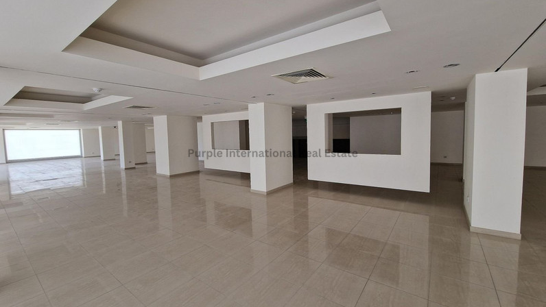 Other 1985 m² for sale in Egkomi, Nicosia, Cyprus