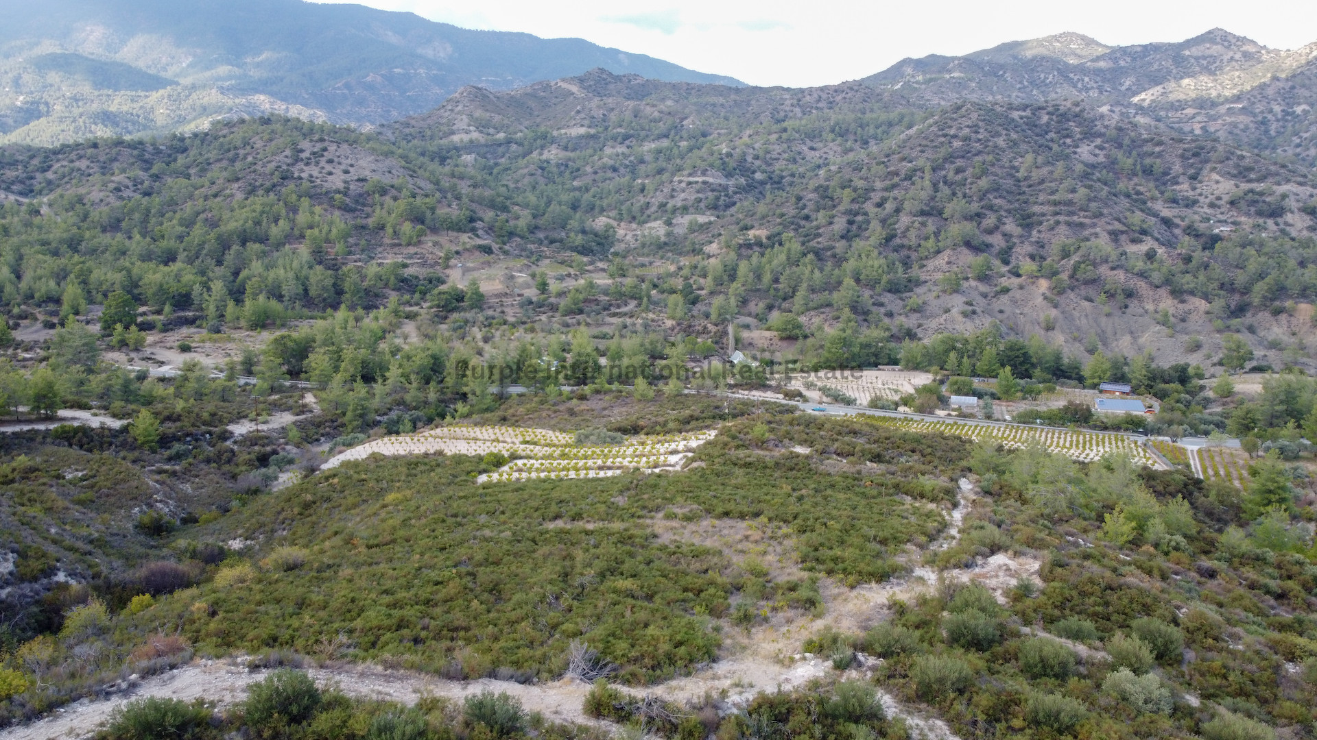 House in Agios Mamas - view 1