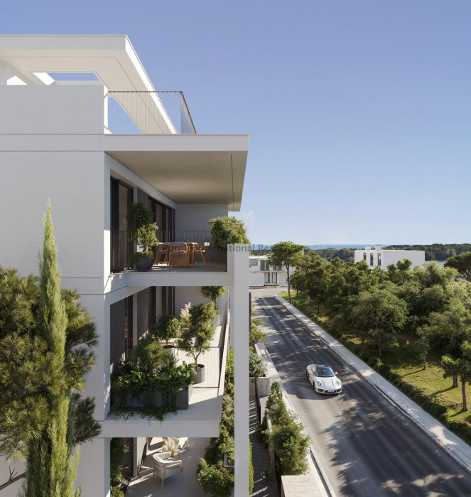 Apartment in Zakaki - view 1