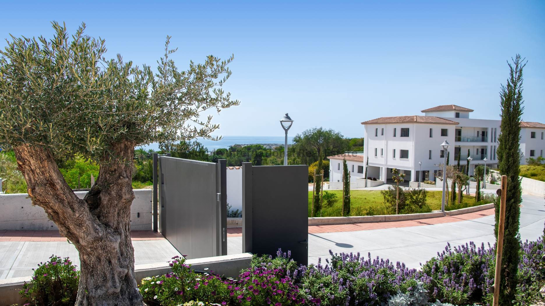 Apartment in Pegeia - Image 4