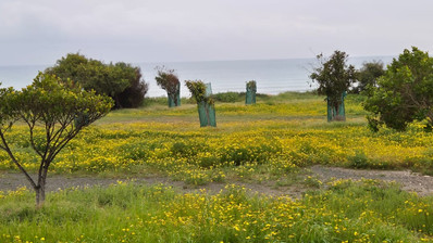 Large Building Plot for Sale in Peaceful Pyla