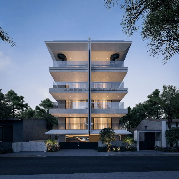 Apartment in Agia Zoni - view 1