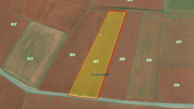 Large 8762m2 Field for Sale in Xylotymbou Village