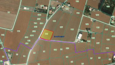 Large Field for Sale in Peaceful Xylotymbou Area