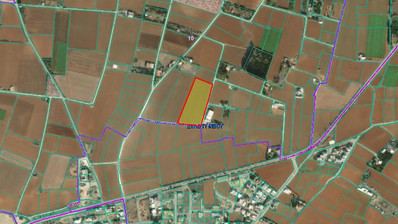 Large Field for Sale in Peaceful Xylotymbou