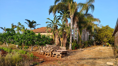 Spacious Sea View Bungalow on Large Plot