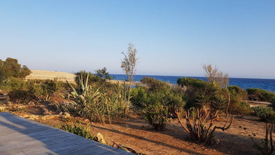 Beachfront Plot Investment