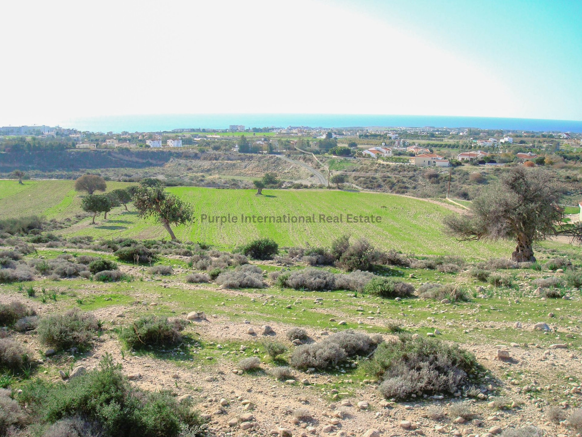 House in Pegeia - Image 2