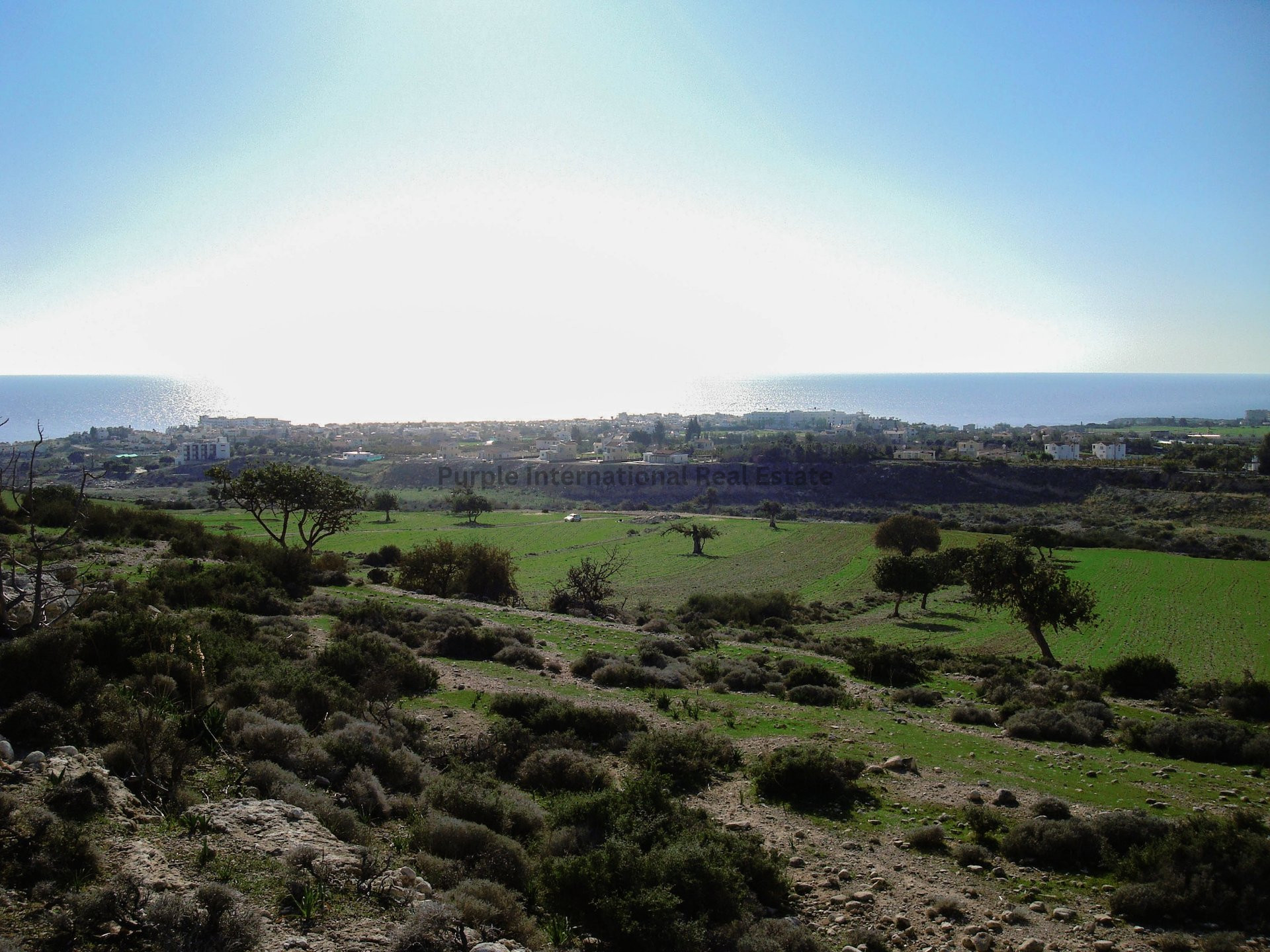 House in Pegeia - Image 3